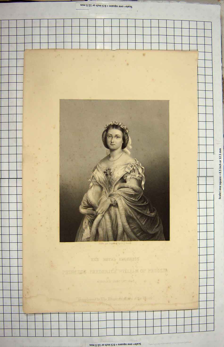 Original Old Antique Print Portrait Princess Frederick William Prussia