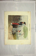 Original Old Antique Print Colour Siers War Uniforms 1850 19th