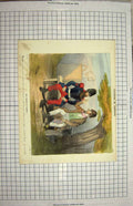 Original Old Antique Print Colour Siers Man Bench Scene