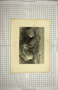Old Antique Print 1875 Rocks Ross Kilkee Island Sea Engraving Wood Fenn 19th