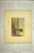 Original Old Antique Print Colour Bridges Sevres St. Cloud France Bridge