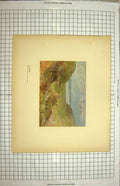 Original Old Antique Print Colour View Lillebonne France