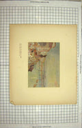 Original Old Antique Print Colour Paris River Seine Barrier Passy France
