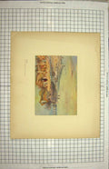 Original Old Antique Print Colour View Melun France River Seine Bridge 18th