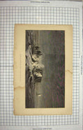 Original Old Antique Print Stars Encampment Night Scene Desert Camels 19th