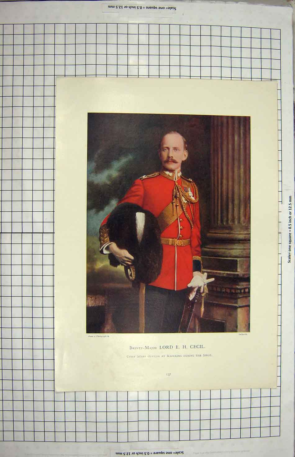 Old Antique Print Brevet-Major Lord Cecil Staff Officer Mafeking Colour 20th