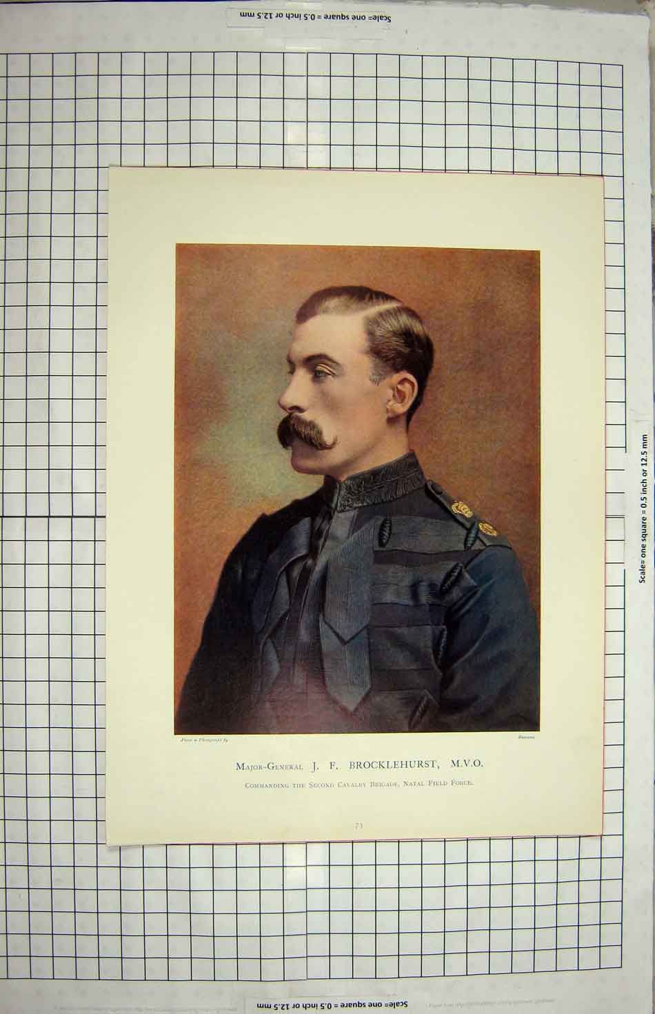 Original Old Antique Print Major-General Brocklehurst Natal Field Force Brigade