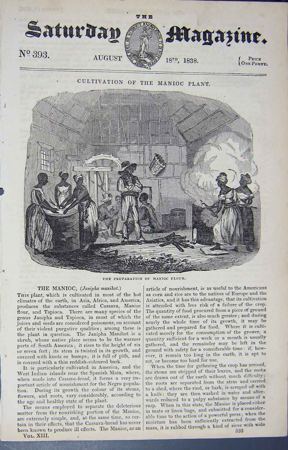 Original Old Antique Print 1838 Preparation Manioc Flour Janipha Manihot Scene