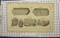Original Old Antique Print Types Stone Talcs Elafmis Bractearium