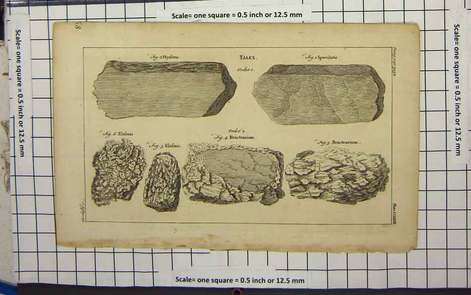 Original Old Antique Print Types Stone Talcs Elafmis Bractearium