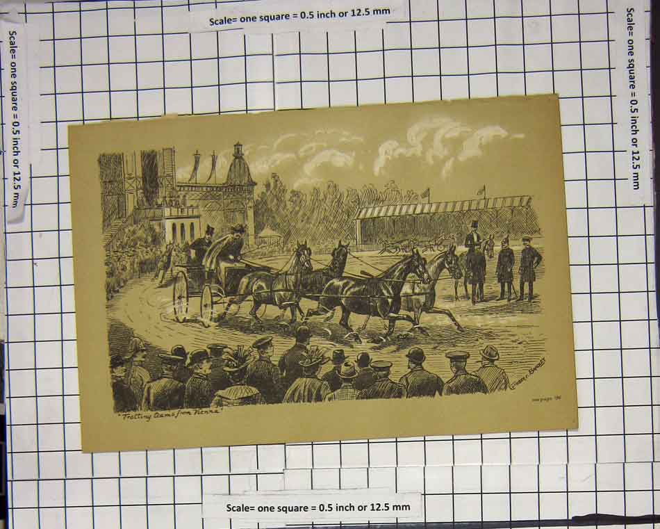 Original Old Antique Print Trotting Teams From Vienna C. Bradley