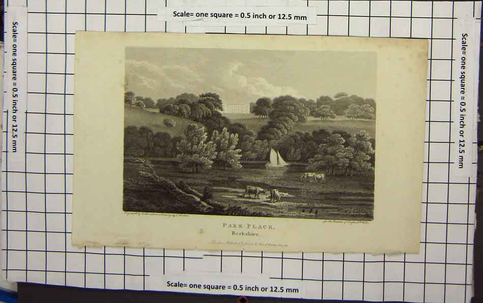 Original Old Antique Print Park-Place Berkfhire Cows Trees Manor 19th