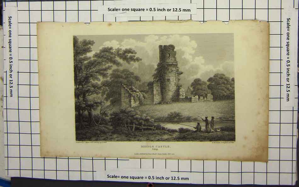 Original Old Antique Print Middle Castle Salop Fishing River Trees