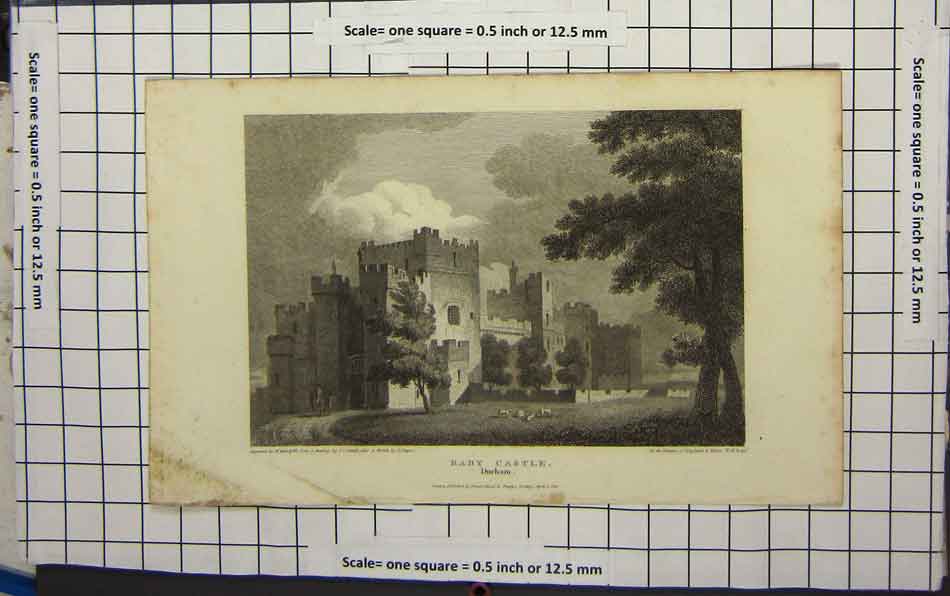 Original Old Antique Print Baby Castle Durham Trees Cows Horse