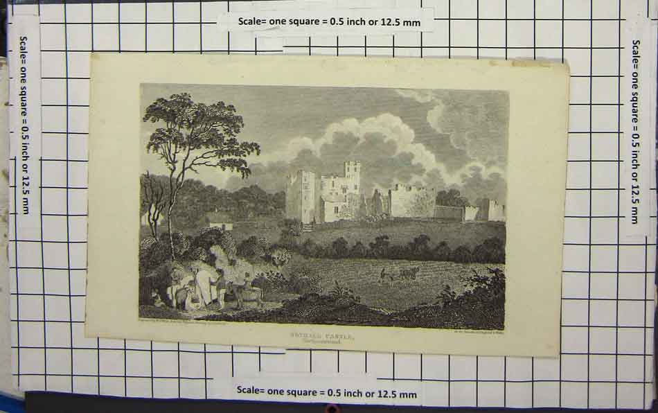 Original Old Antique Print Bothall Castle Northhuberland Tree Farming