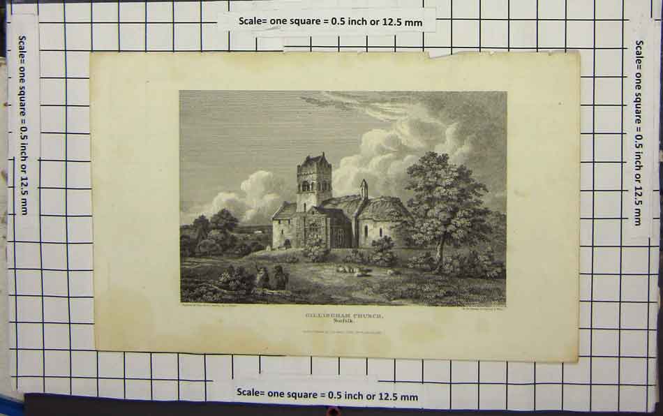 Original Old Antique Print Gillingham Church Norfolk Trees