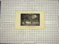 Original Old Antique Print View Fish Ponds Hastings England River Fishing Trees