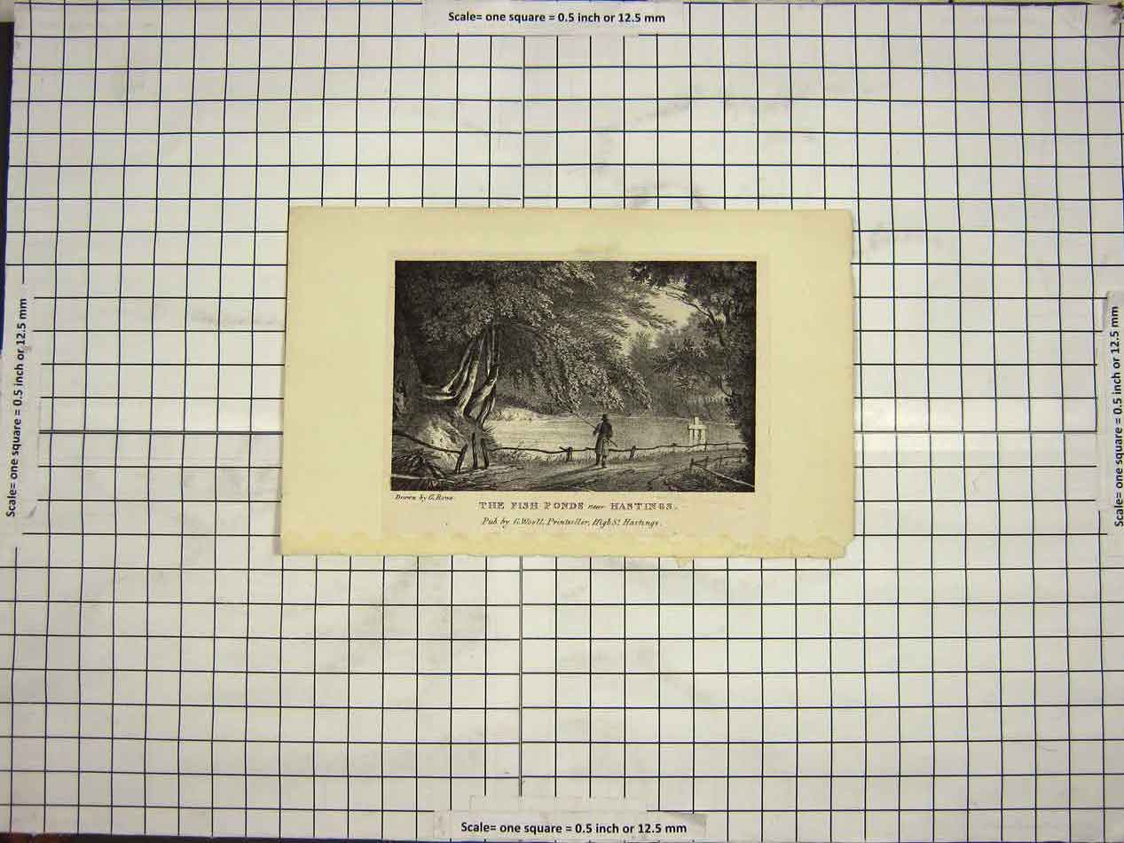 Original Old Antique Print View Fish Ponds Hastings England River Fishing Trees