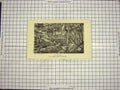 Original Old Antique Print View Dripping Well Glens Hastings Trees River