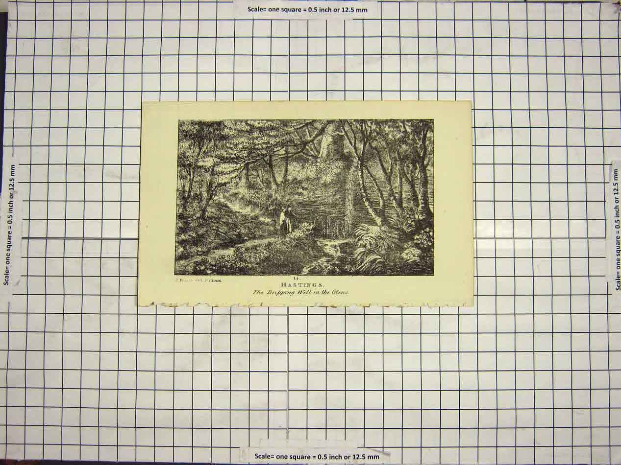 Original Old Antique Print View Dripping Well Glens Hastings Trees River