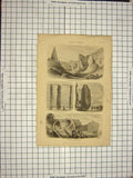 Original Old Antique Print Trap Rocks Storr Island Strathaird Skye Barn Helena