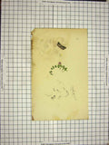 Original Old Antique Print Colour Butterfly Insects Nature Plant Drawings