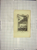 Original Old Antique Print Buck Juda Goat Bell Engraving Animal