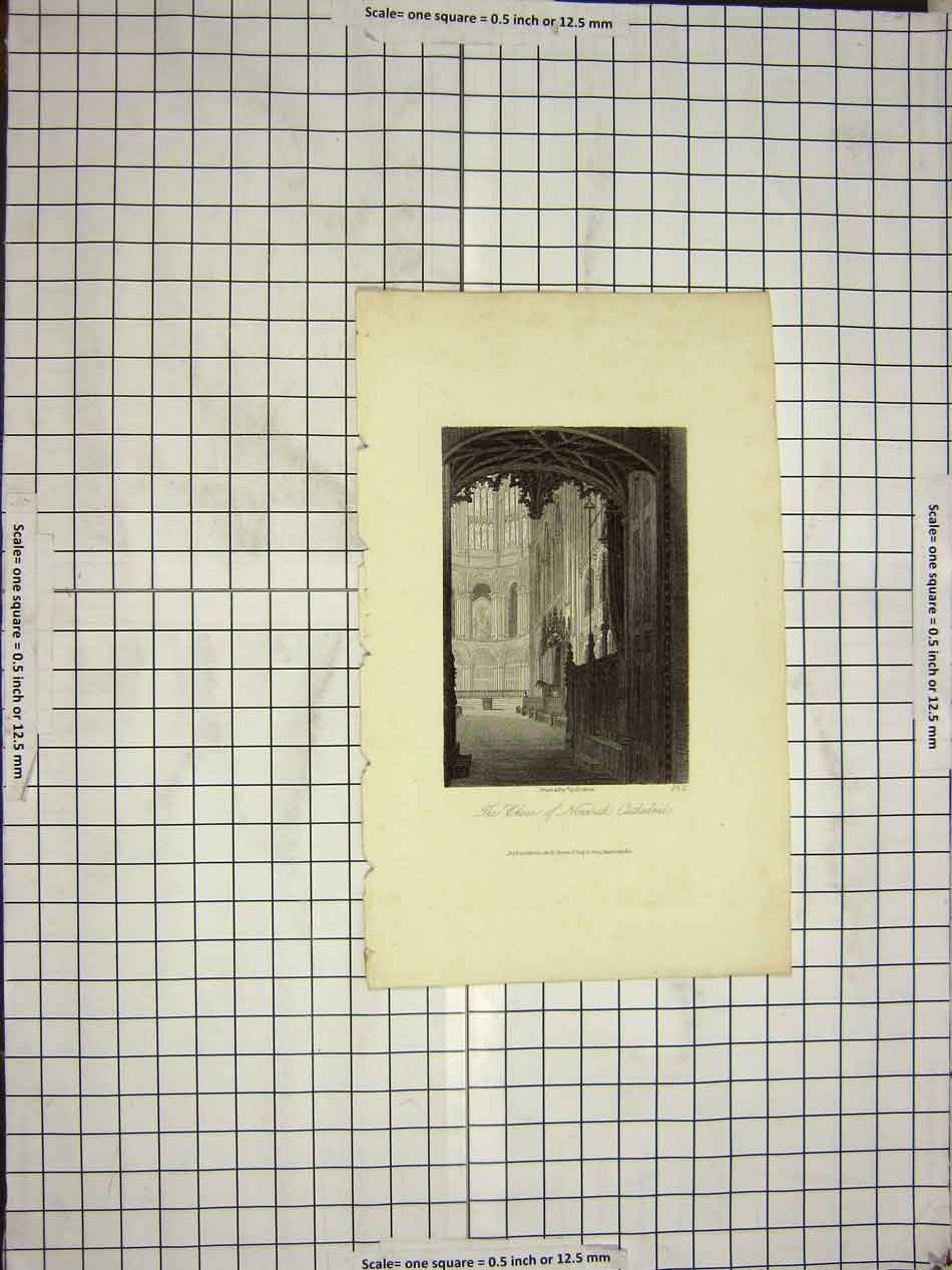 Original Old Antique Print 1818 Choir Norwich Cathedral Architecture Storer