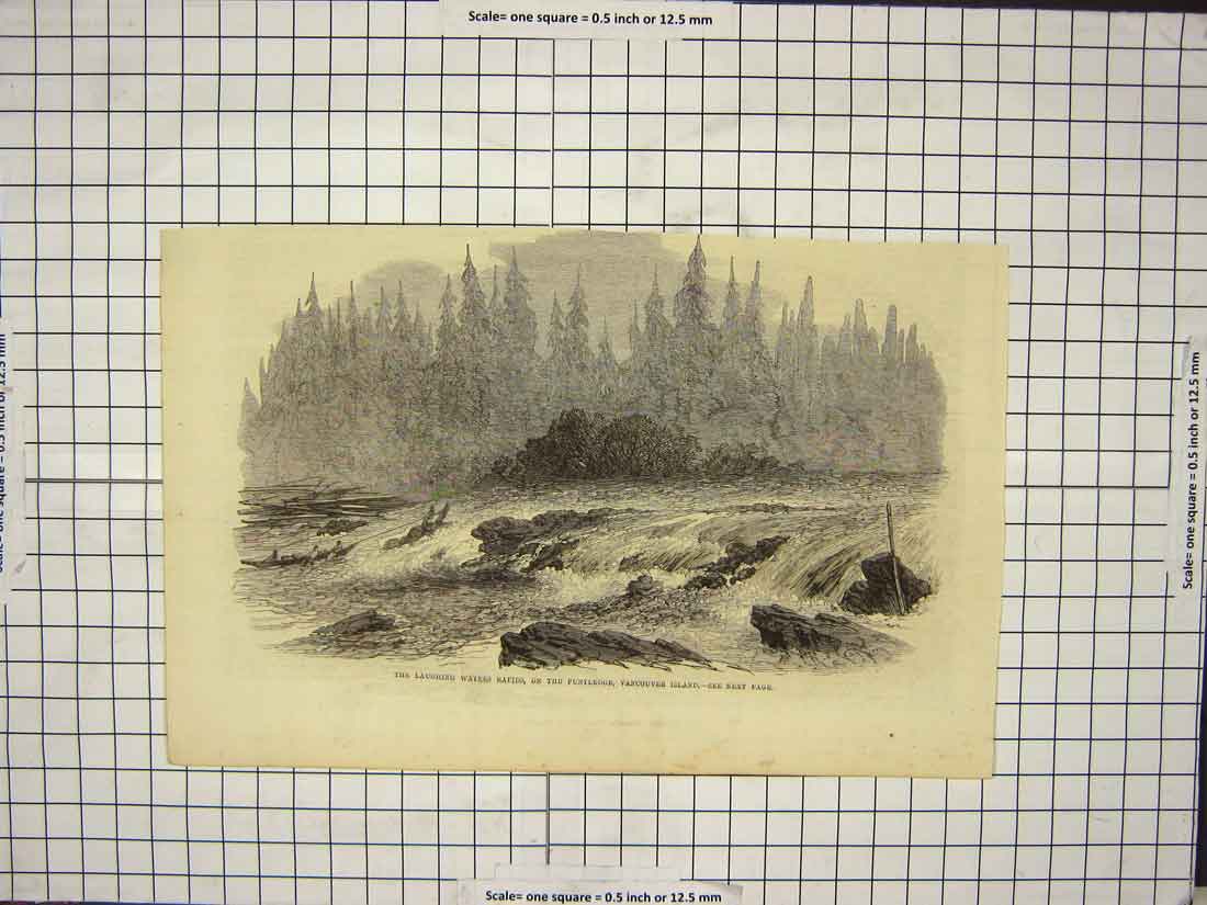 Original Old Antique Print Laughing Waters Rapids Puntledge Vancouver Island