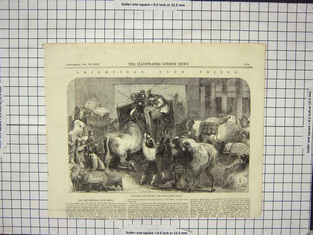 Original Old Antique Print 1856 Uncarting Cattle Baker Street Bazaar Smithfield