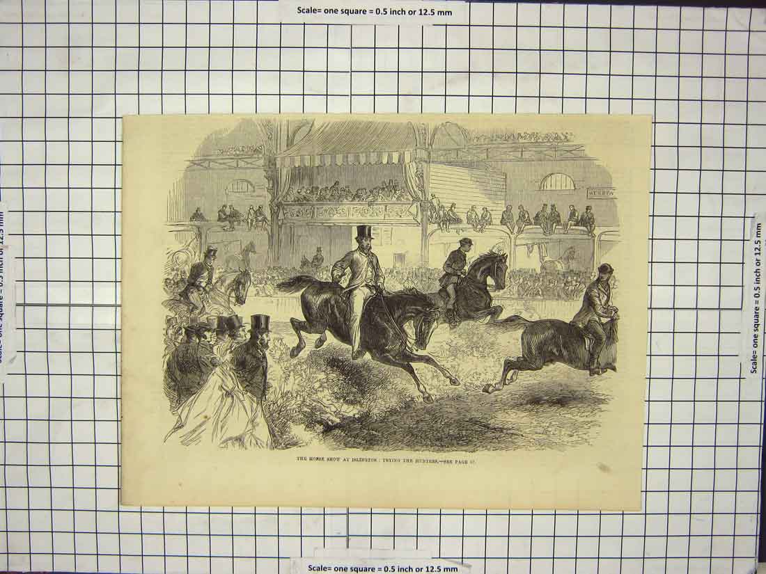 Original Old Antique Print Horse Show Islington Hunters Sport Jumping