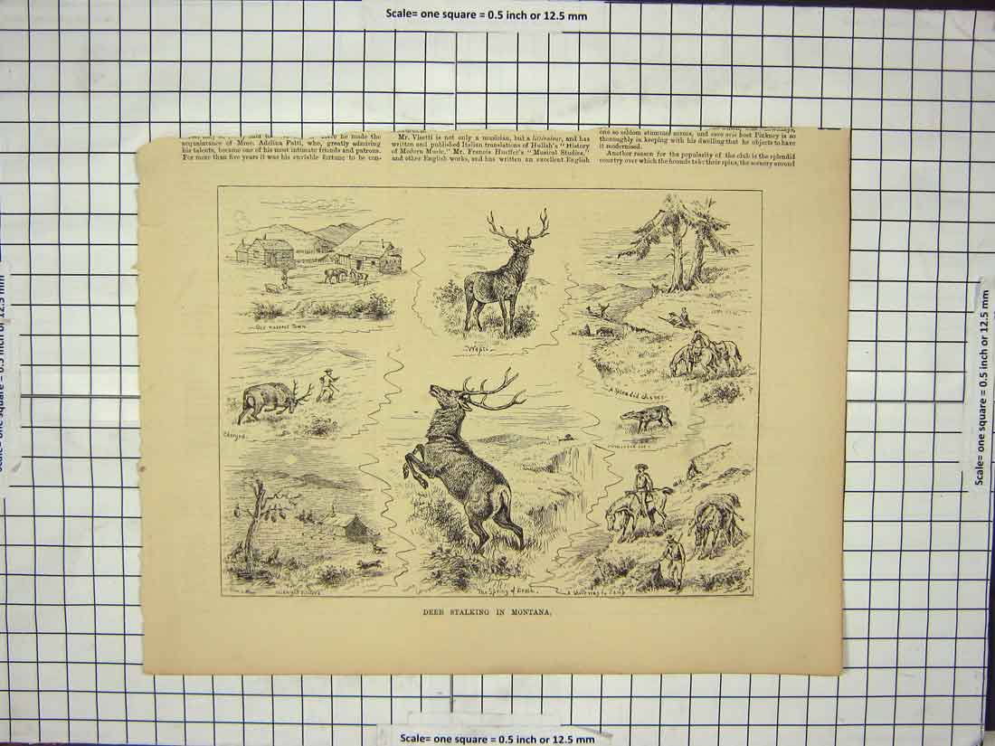 Original Old Antique Print Scene Deer Stalking Montana Hunting Sport Stag
