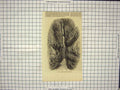 Original Old Antique Print Cave High Tor Matlock England