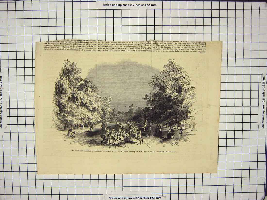 Original Old Antique Print Duke Duchess Nemours Queen Prince Albert Windsor