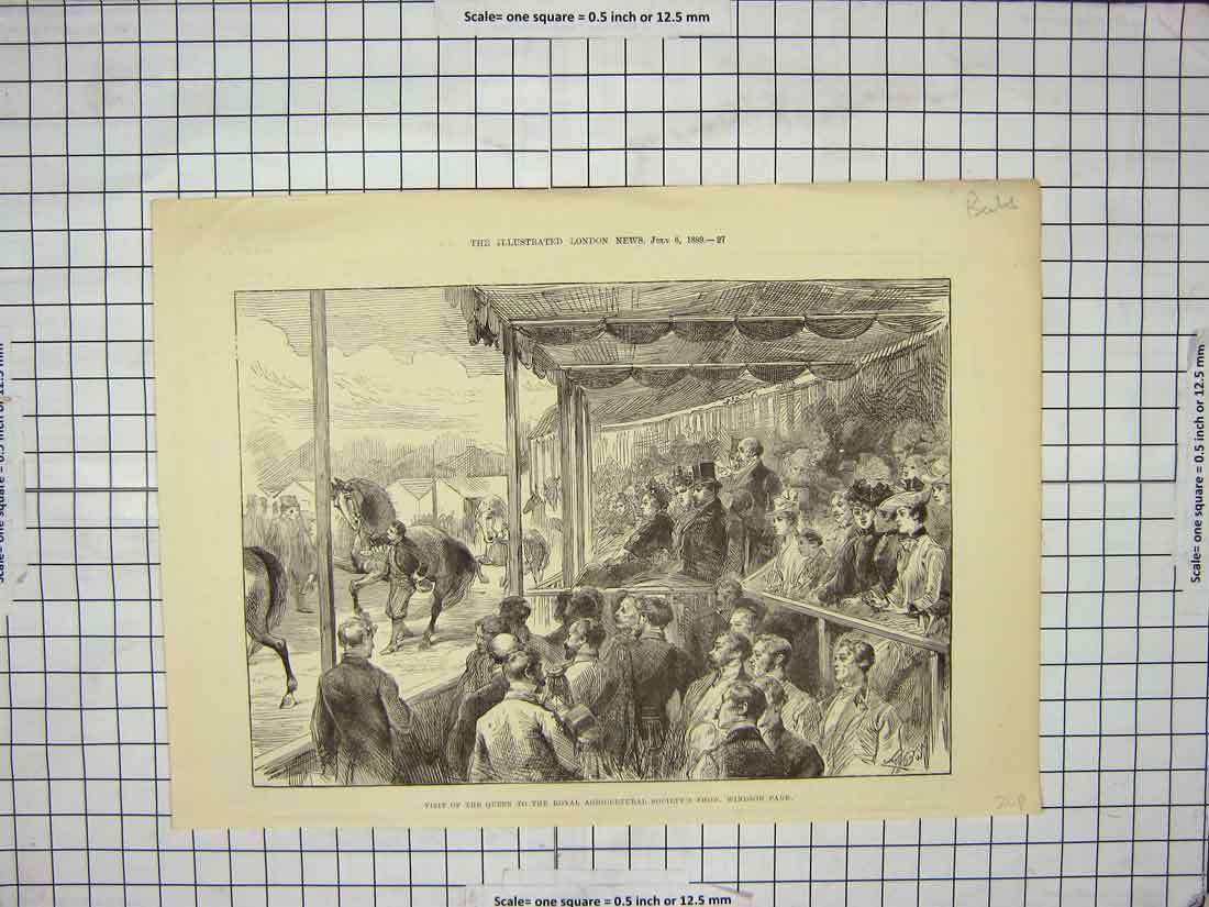 Old Antique Print 1889 Queen Royal Agricultural Society Show Windsor Park 19th