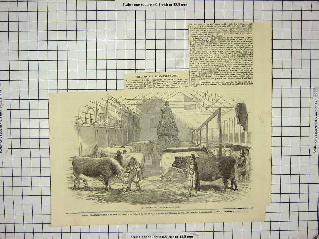 Original Old Antique Print Smithfield Club Cattle Show Cows Animals 1852 19th