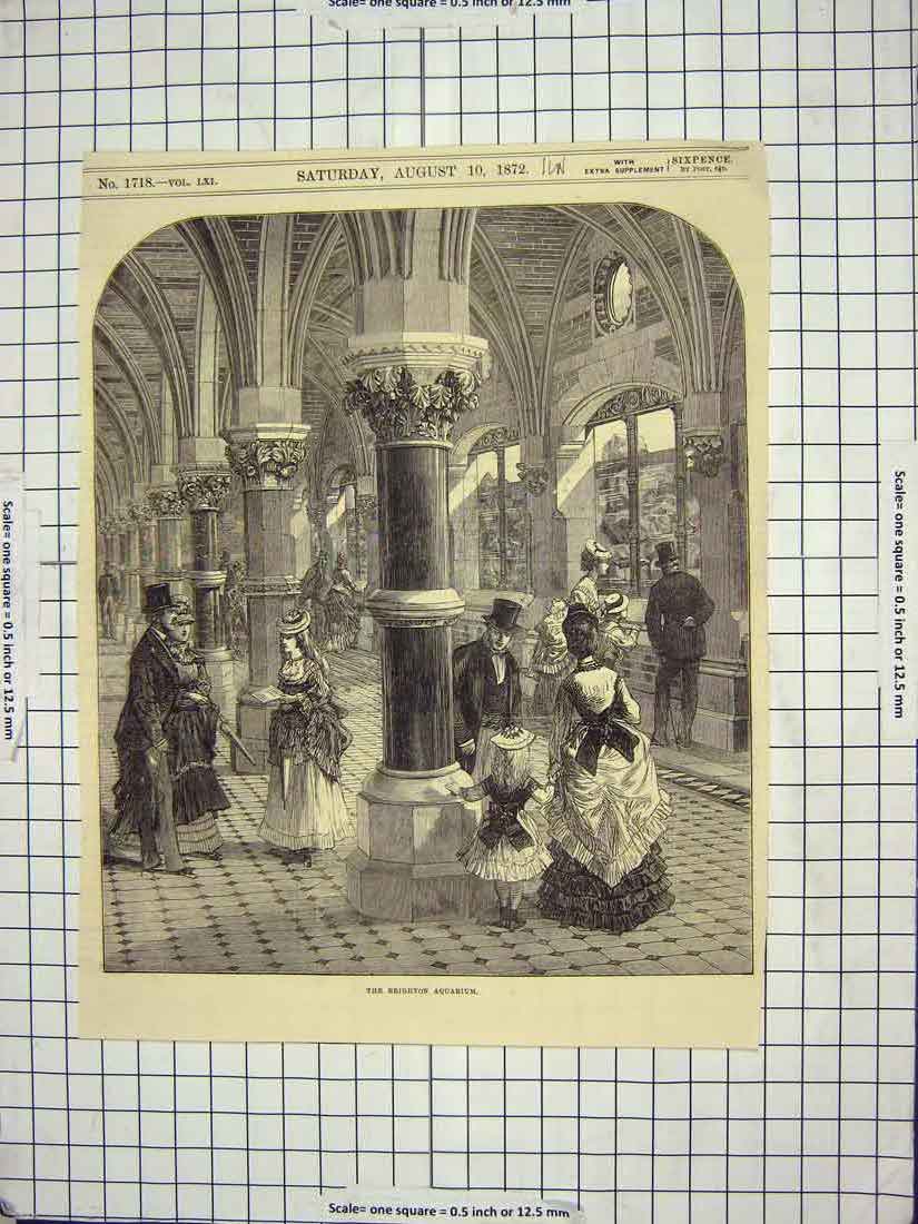 Original Old Antique Print 1872 Brighton Aquarium Interior Building England