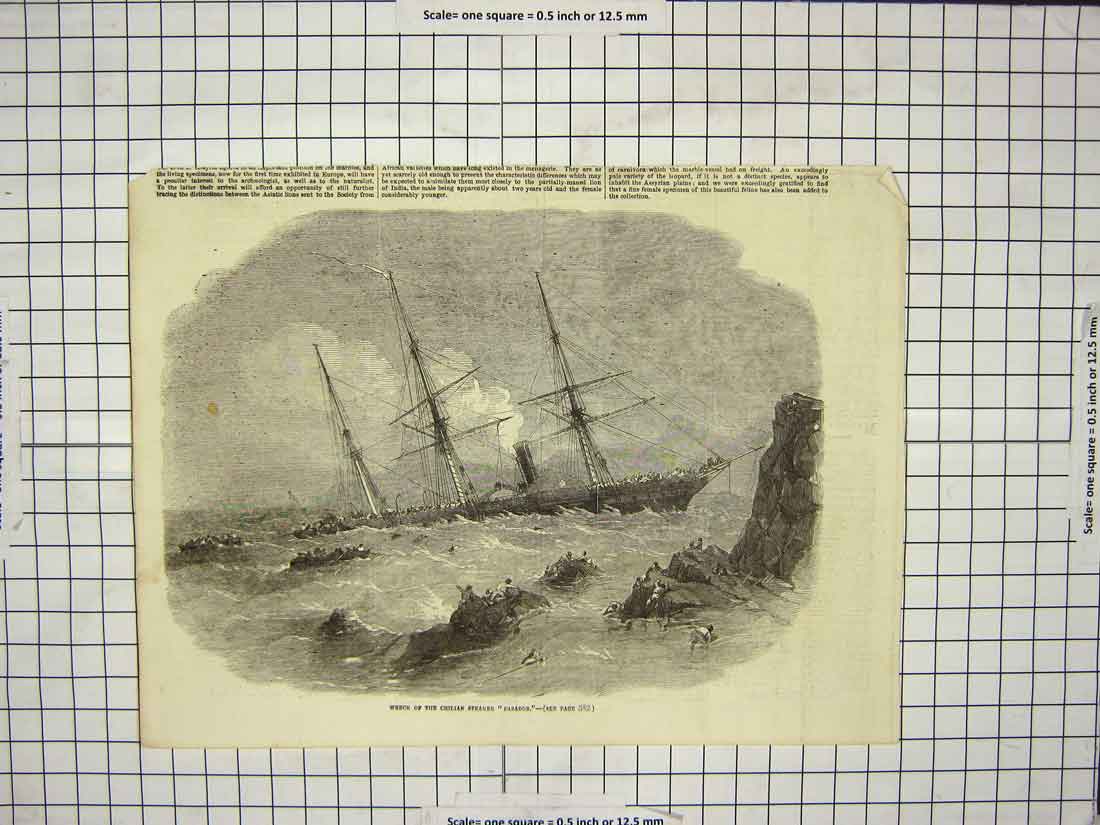 Original Old Antique Print Ship Wreck Chilian Steamer Cazador Life-Boats