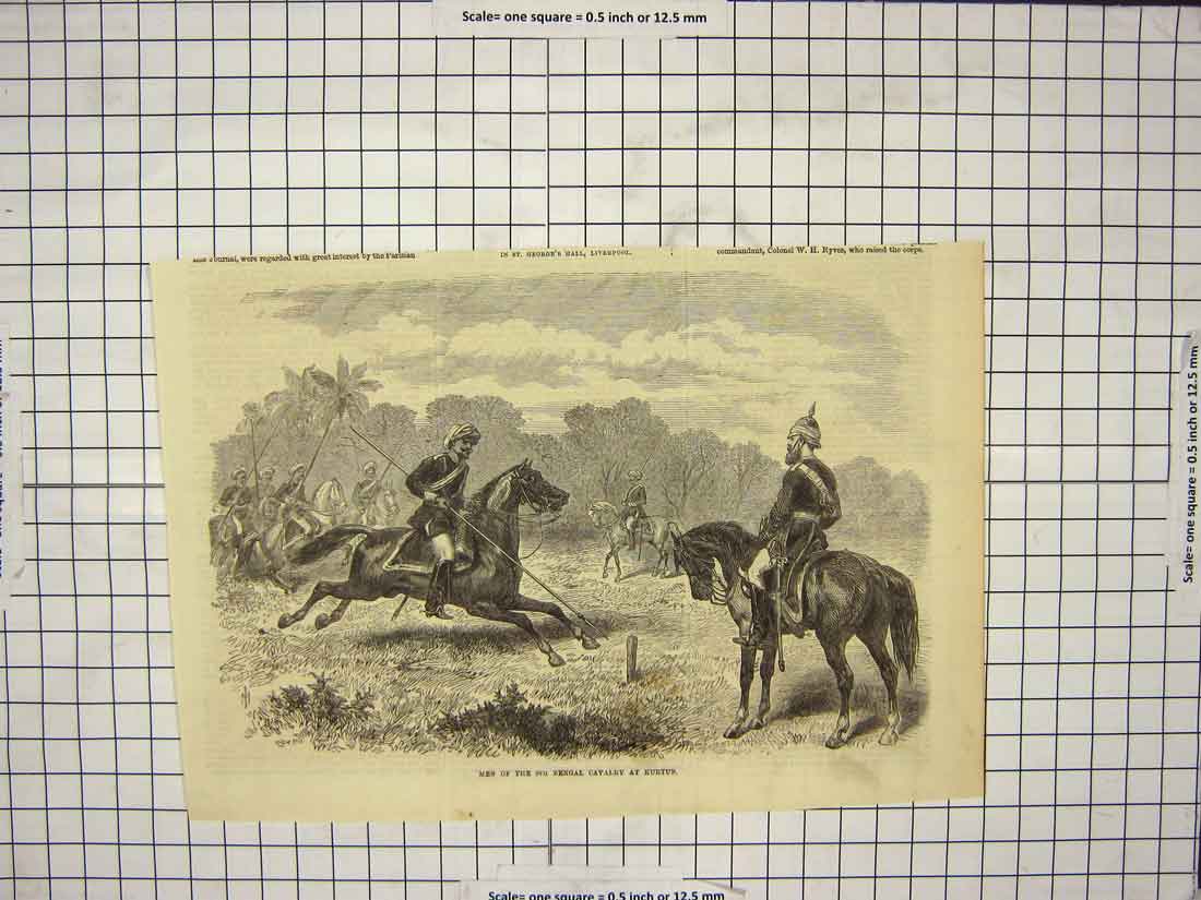 Original Old Antique Print Men 8Th Bengal Cavalry Kurtub Siers War Horses
