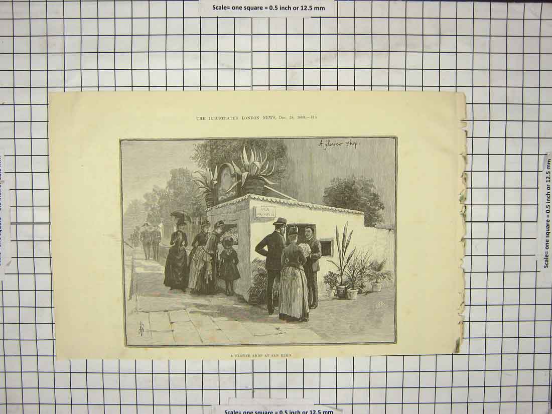 Original Old Antique Print 1889 Flower Shop San Remo Shopping 19th
