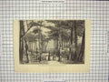 Original Old Antique Print Resin-Gathering Pine Forests Landes Trees Industry