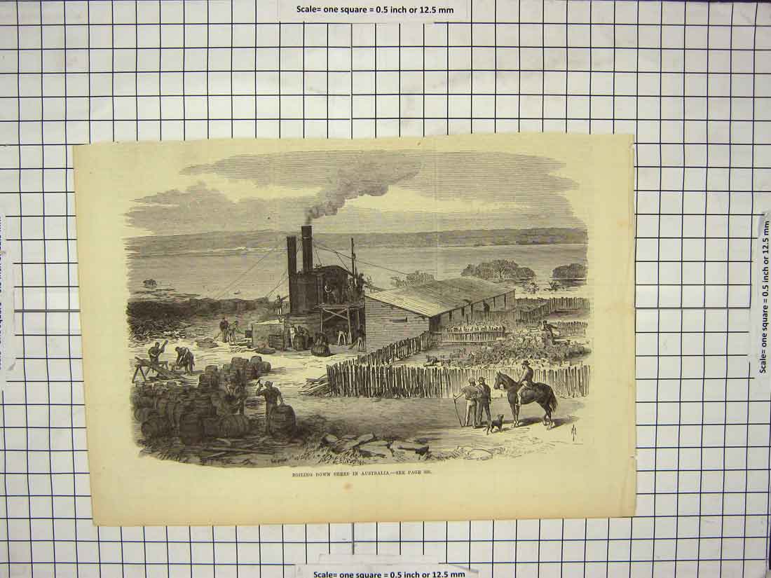 Original Old Antique Print Scene Boiling Down Sheep Australia Fine Art 19th