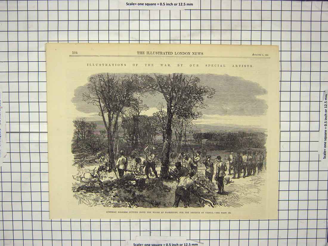Original Old Antique Print 1866 War Austrian Siers Cutting Trees Florisdorf