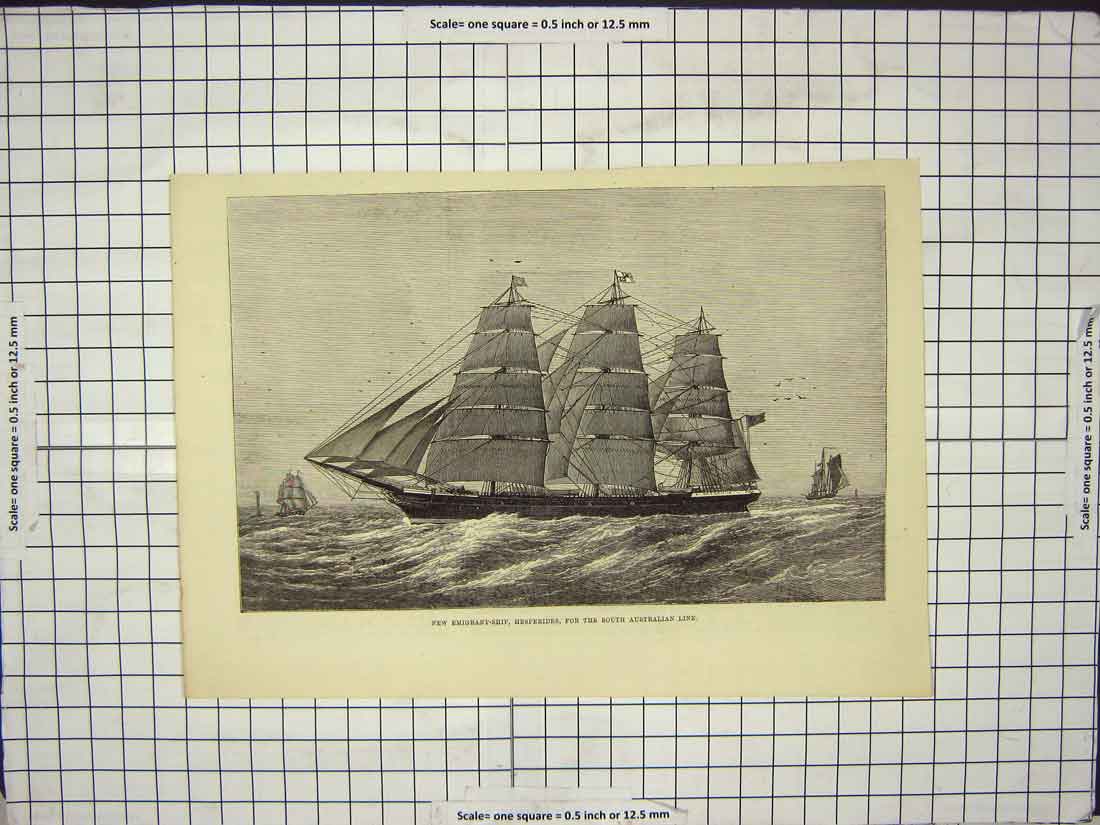 Original Old Antique Print Emigrant Ship Hesperides South Australian Line