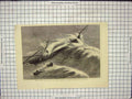 Old Antique Print Rescue Eleven People Ship Belfast Lifeboat Ballycotton