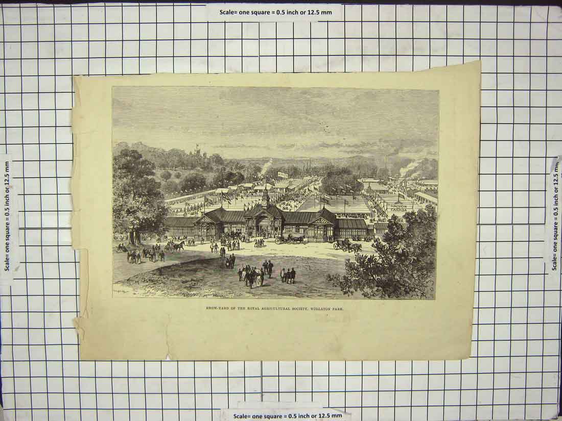 Original Old Antique Print Show-Yard Royal Agricultural Society Wollaton Park