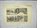 Old Antique Print 1887 Sheep Farmers House Victoria Australia Grape Vines 19th