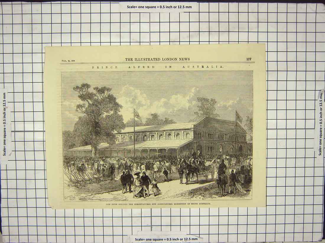 Original Old Antique Print 1868 Prince Alfred Australia Duke Agricultural Show