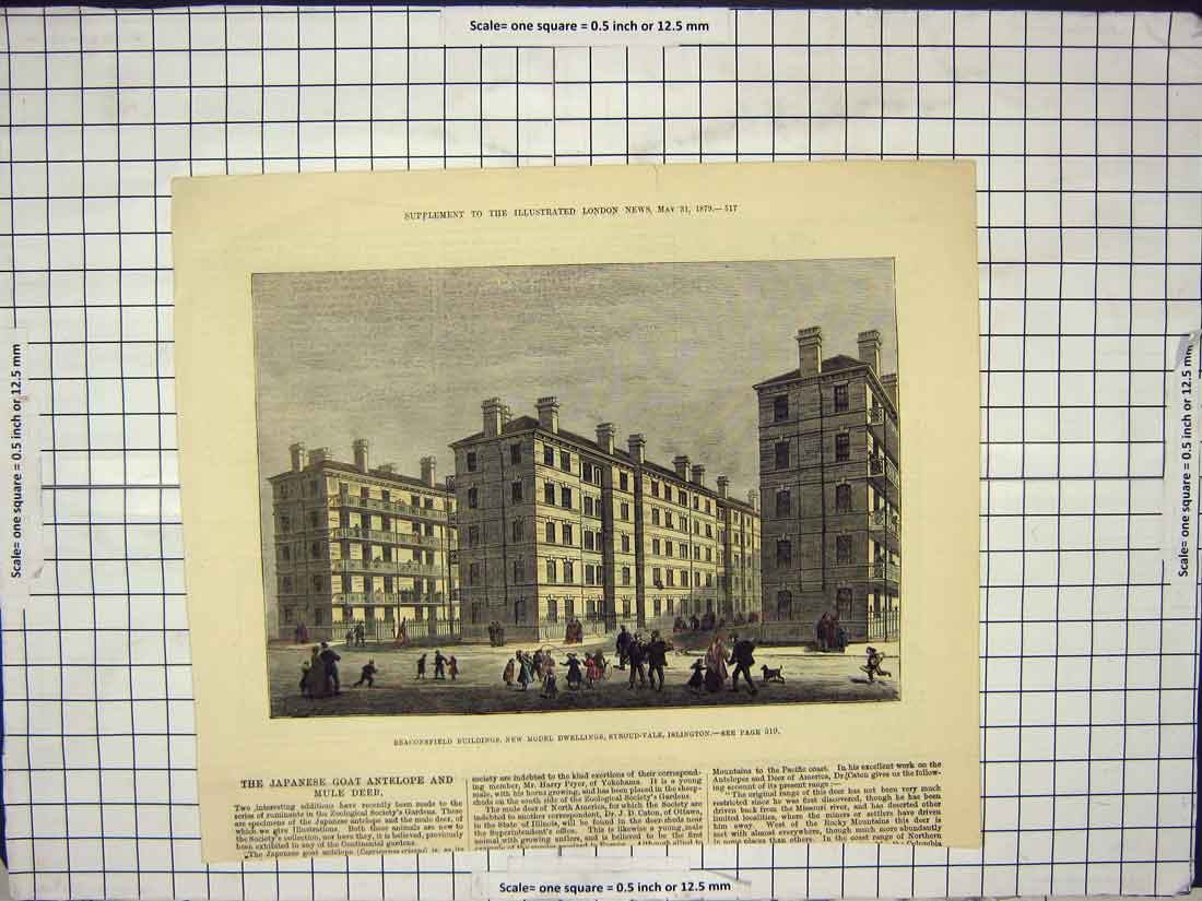 Old Antique Print 1879 Beaconsfield Model Dwellings Stroud Vale Islington 19th