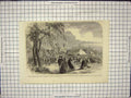 Old Print Ref.892 Floral Jubilee Dumfries Galloway Horticultural Society